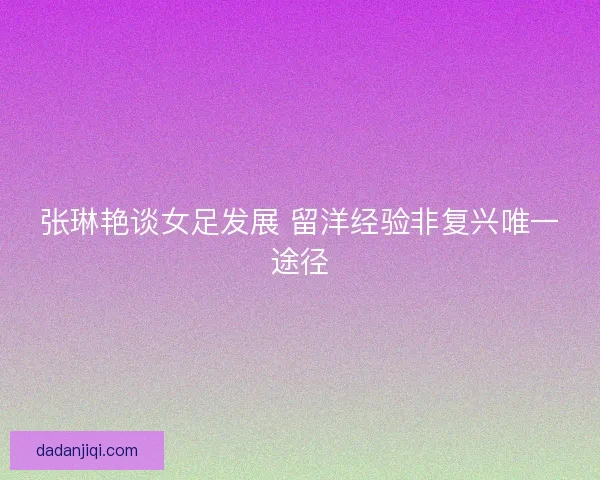 张琳艳谈女足发展 留洋经验非复兴唯一途径